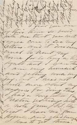 Letter from Leverett Saltonstall to Rose Lee Saltonstall, 25 November 1876 