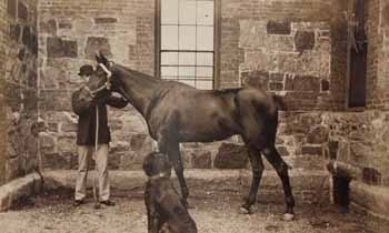 Brooks Adams with horse and dog Photograph