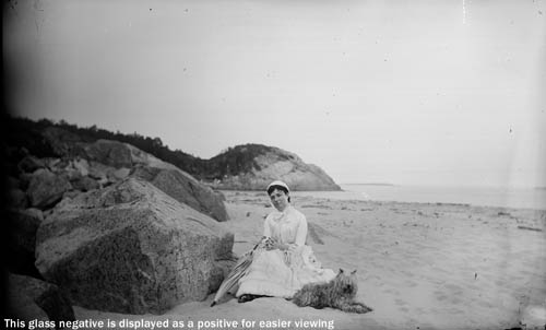 Mrs. Jim Scott and dog seated by rock at east end of Singing Beach, Manchester Glass plate negative